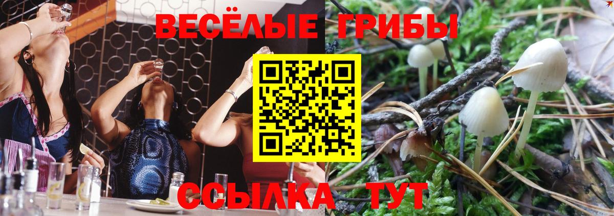 Псилоцибиновые грибы мухоморы  Вход с VPN  Курчалой  Галлюциногенные грибы ЛСД 