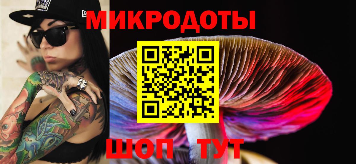 Галлюциногенные грибы Psilocybine cubensis Курчалой